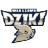 Dziki Warszawa
